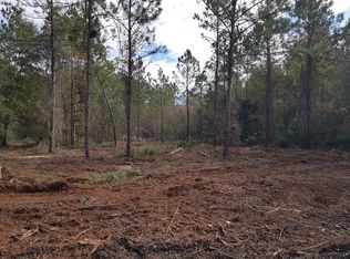 1823 Berrybush St, Bunnell, FL 32110