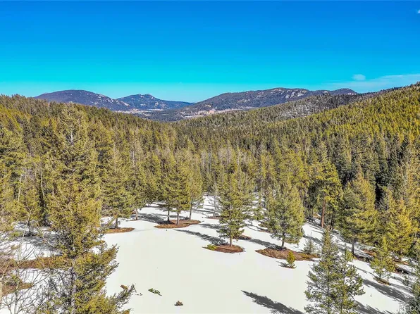 29788 Barney Brook Drive, Conifer, CO 80433