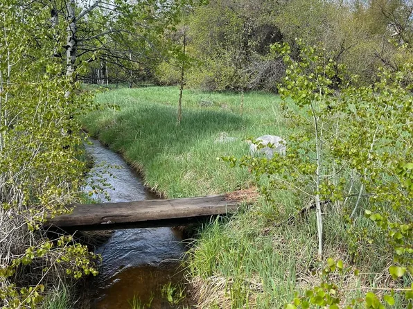 28040 County Road 64, Clark, CO 80428