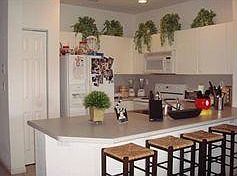 3rd image of 5779 NW 116 Av 101 #101