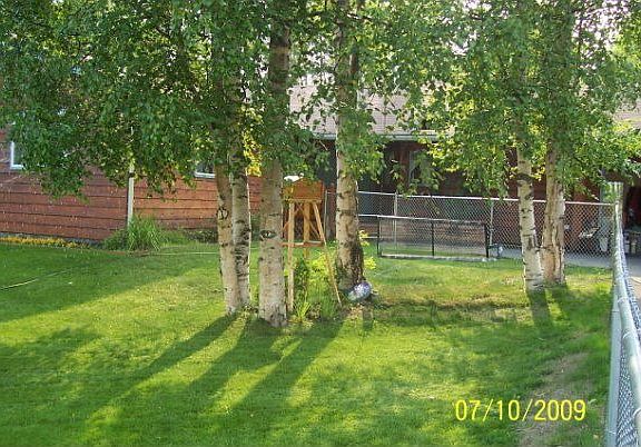 2009 photo