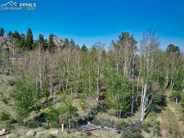 23 Antlers Ln, Florissant, CO 80816