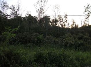 Cole Rd, Colden, NY 14033