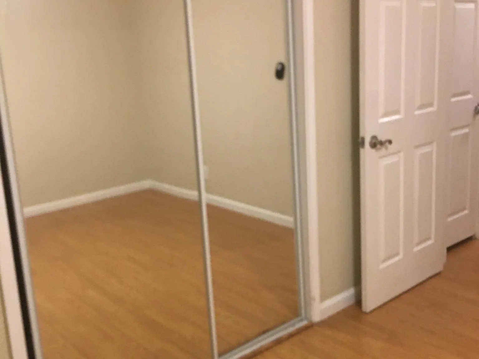 2 bed, 1.5 bath, 900 sqft, $3,250 — Photo 4