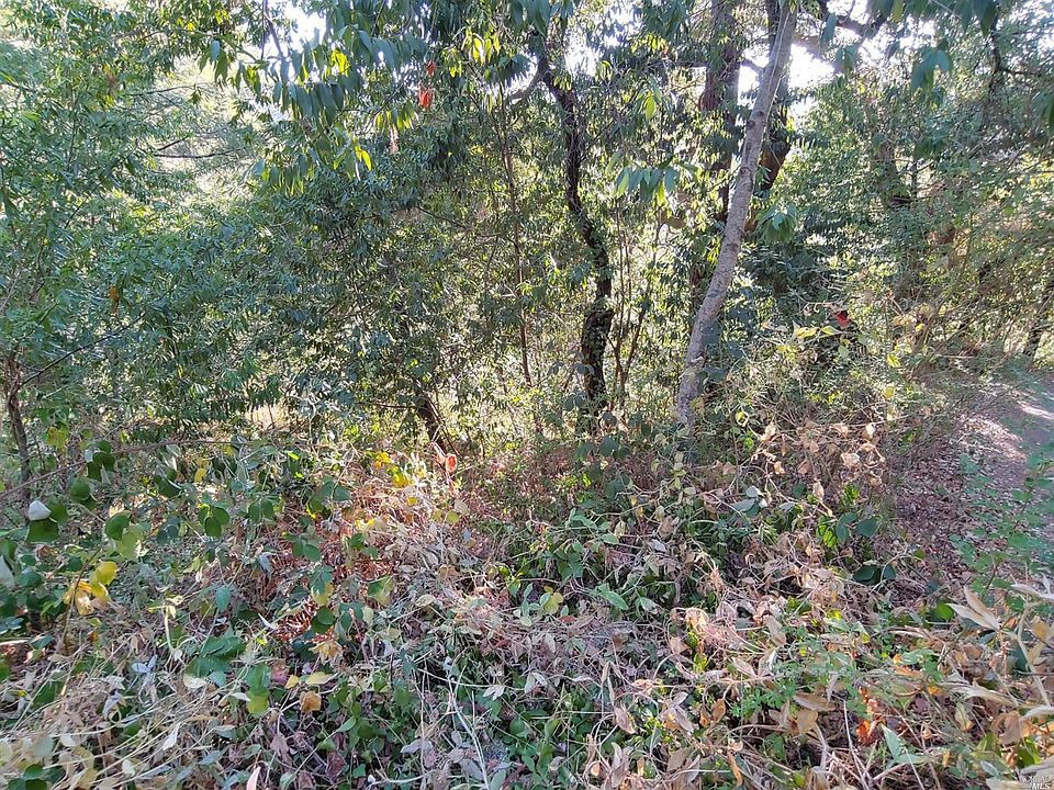 45 Morelli Ln, Camp Meeker, CA 95419 Zillow