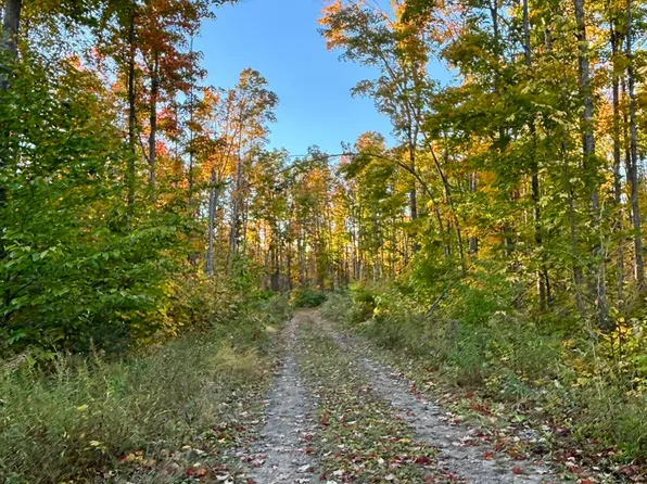 6011 Melody Ln, Afton, MI 49705