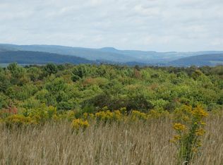 Longview Dr, Edmeston, NY 13335