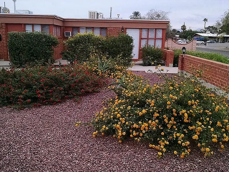 Rancho Encanto — Photo 7