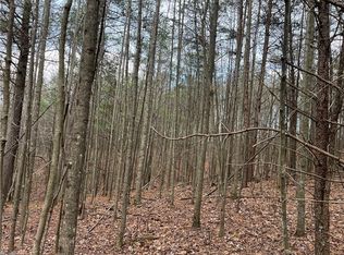 LOT 12 Fisher Valley Rd LOT 12, Dobson, NC 27017