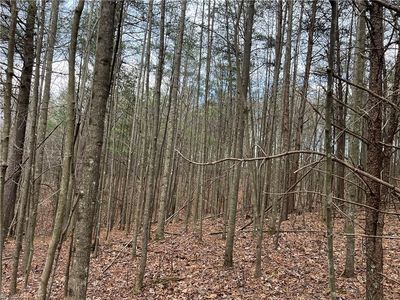 LOT 12 Fisher Valley Rd Lot 12, Dobson, NC, 27017
