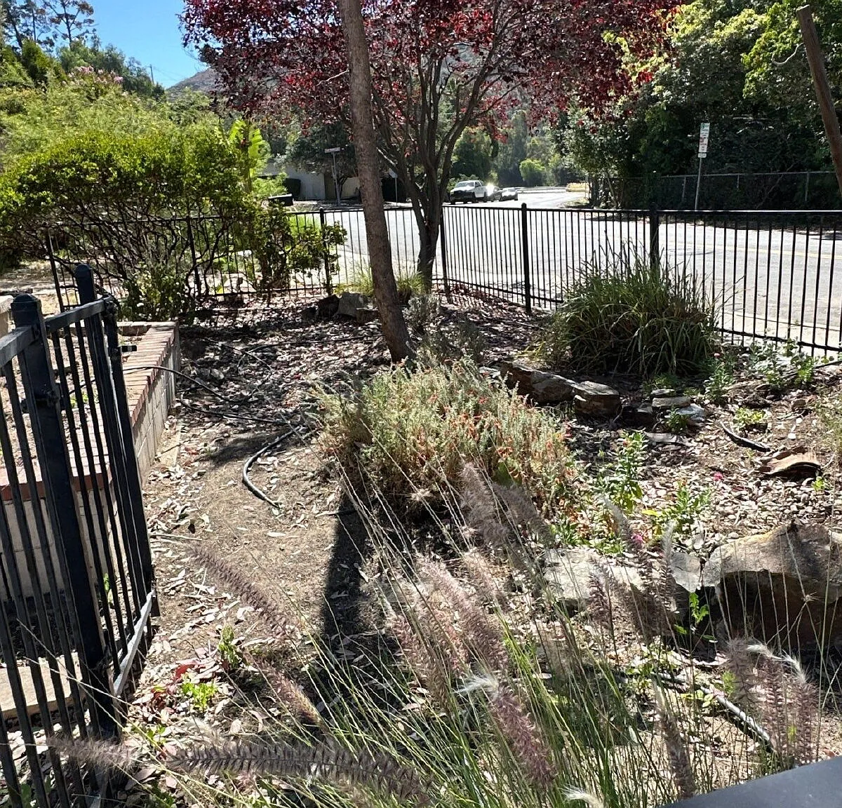3 bed, 2.0 bath, 1450 sqft, $3,800 — Photo 2
