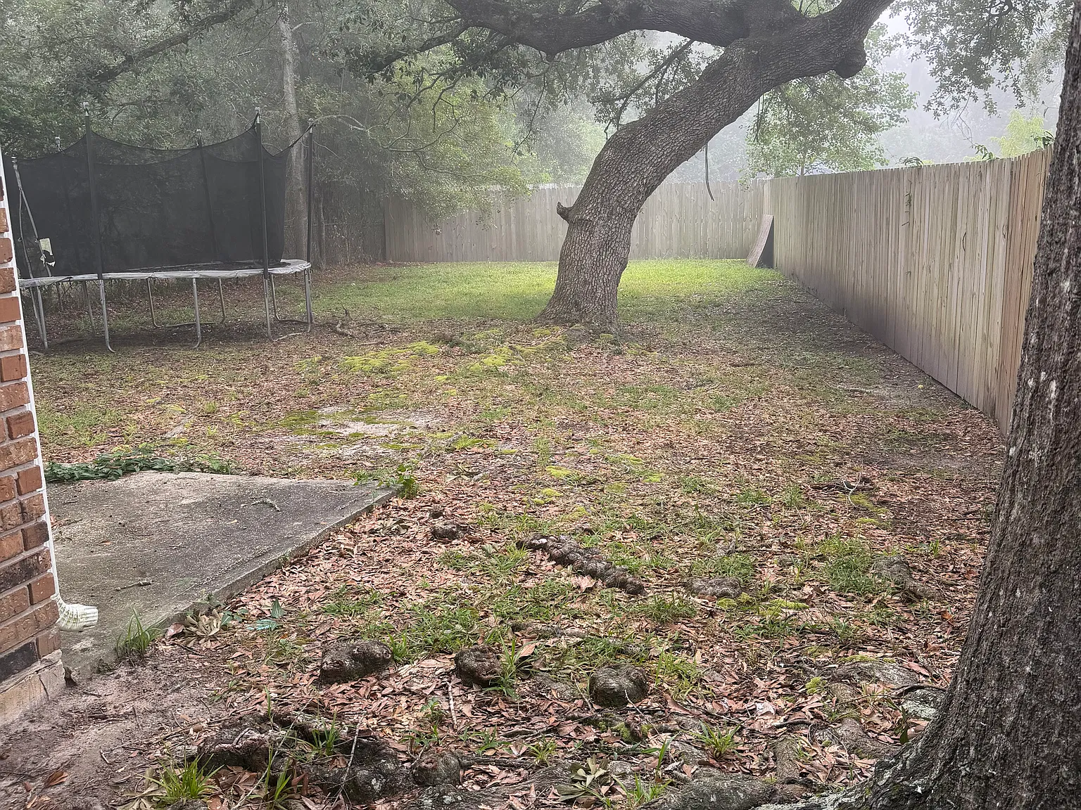 4 bed, 1554 sqft, $1,900 — Photo 2