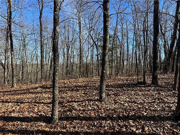 5th image of 0 Plumlee Rd