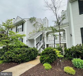 2913 S Woodley St #1, Arlington, VA, 22206