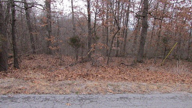 2nd image of Marisco Ln #1