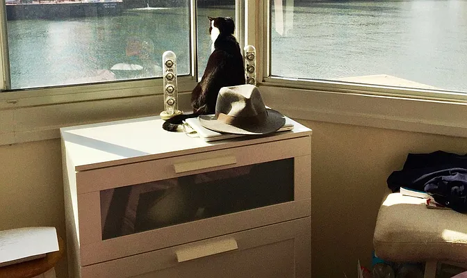 Rented by The Dressler Group LLC | media 32