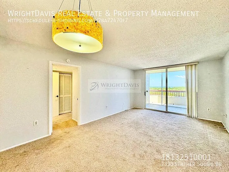 2333 Feather Sound Dr — Photo 8