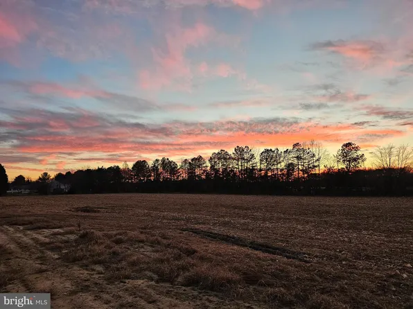 LOT 1 Royal Tern Dr, Delmar, MD 21875