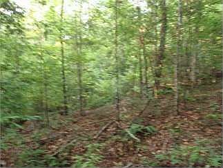 4th image of 1022 Dogwood Trl