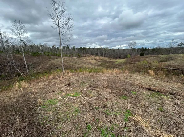 3303 County Road 341, Maplesville, AL 36750