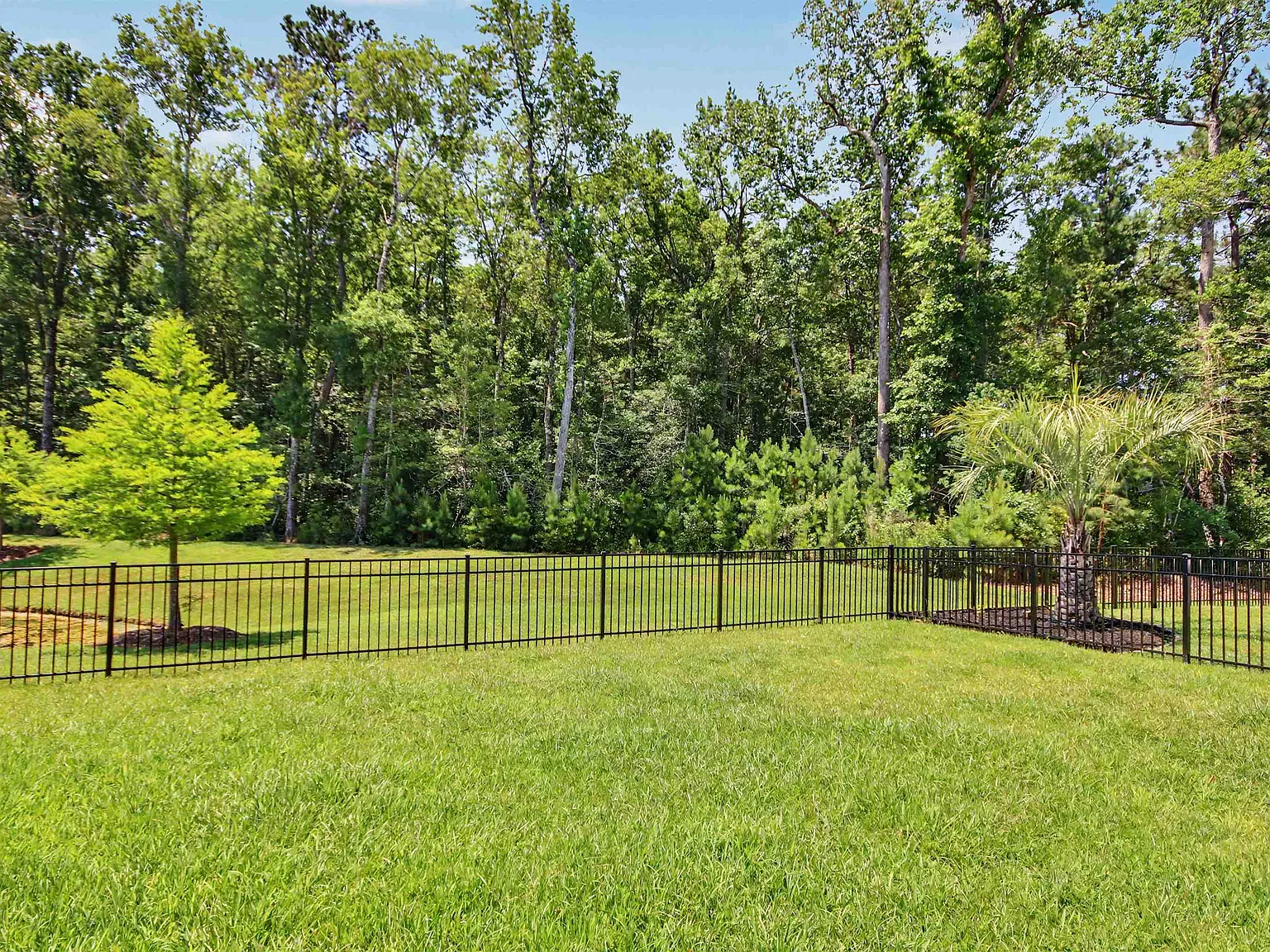5 bed, 3.5 bath, 2449 sqft, $3,000 — Photo 4