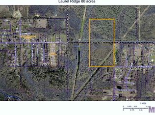 Tbd Laurel Ridge Rd, Saint Amant, LA 70774