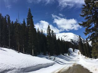 295 Quandary View Dr, Breckenridge, CO 80424