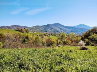 206 Banjo Ln, Waynesville, NC 28785