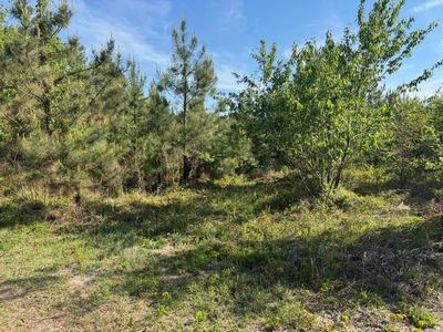 0 Huggins Rd, Rembert, SC, 29128