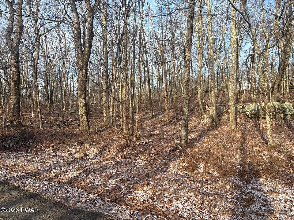 1st image of LOT Dingmans Pl