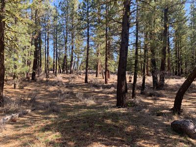 7050 Sylvan Rd, Portola, CA, 96122