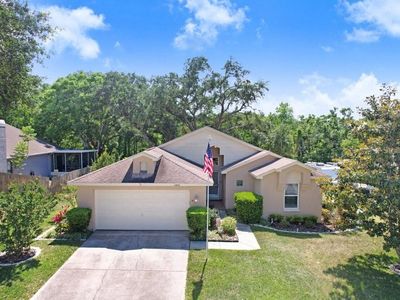 10509 Deepbrook Dr, Riverview, FL, 33569