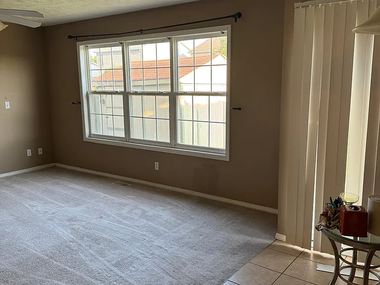 Windows and door for livingroom #1