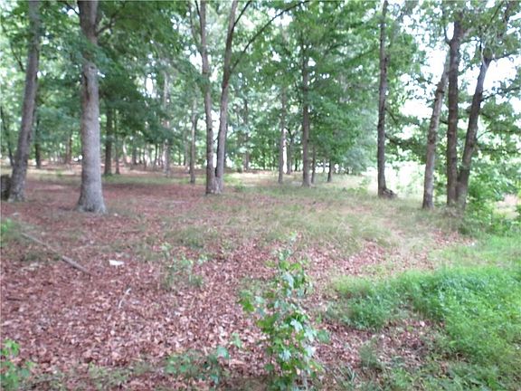 3rd image of 343 Shadow Mountain Ln