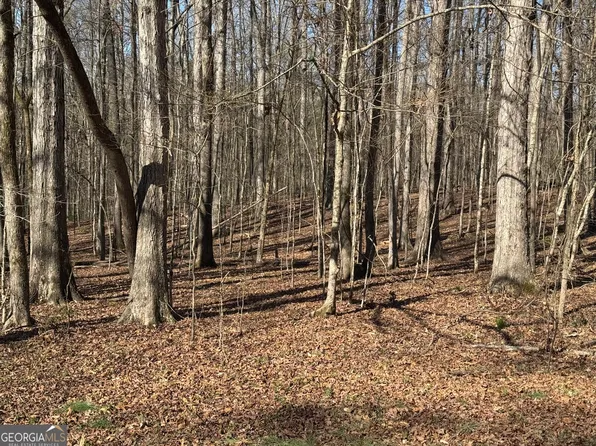 0 Staghorn Trail Ext, Nicholson, GA 30565