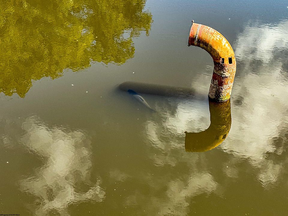 19th image of this home