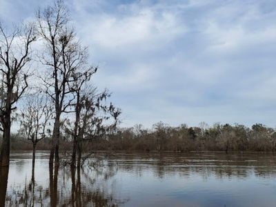 0 Deen Landing Rd, Baxley, GA, 31513