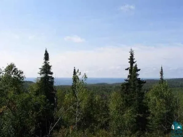 46X Moose Valley Rd, Hovland, MN 55606