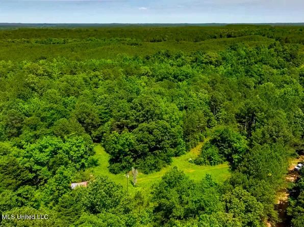 99 County Line Rd #3221, West, MS 39192