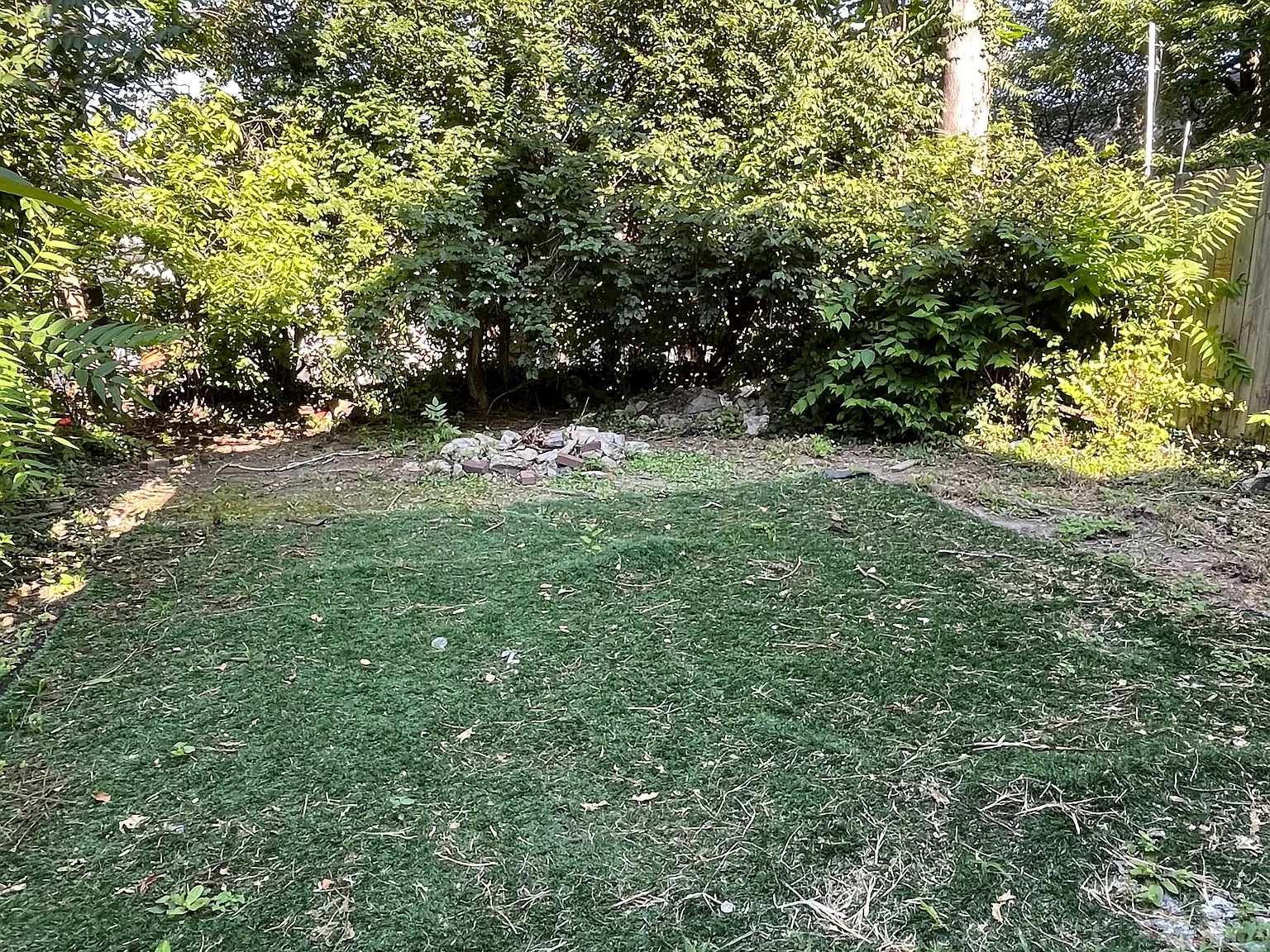 4 bed, 1500 sqft, $2,900 — Photo 4