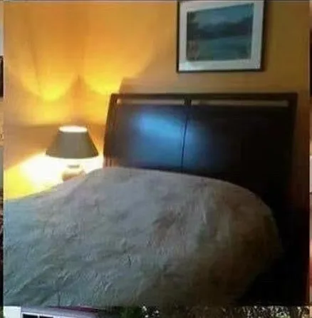 3217 Glenrose Ave photo 1
