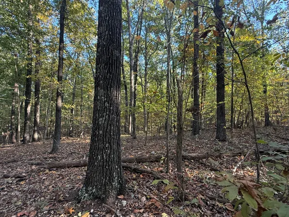 000 Tbd Girlstown Road, Mountain Grove, MO 65711
