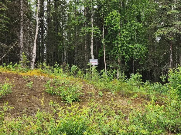 L5 Ten Mar Ave, Soldotna, AK 99669