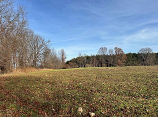 0 Seymour Rd LOT C, Grass Lake, MI 49240