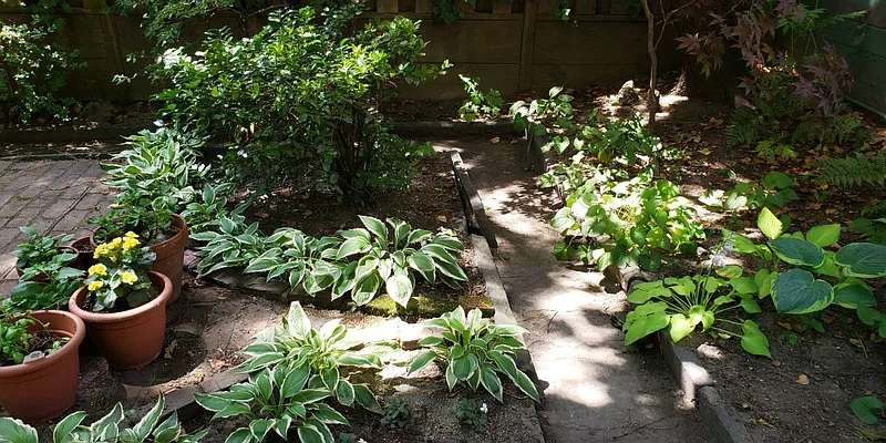 Rented by Owner | media 19