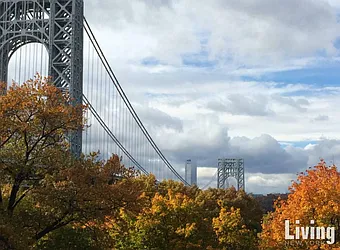 Rented by Living New York