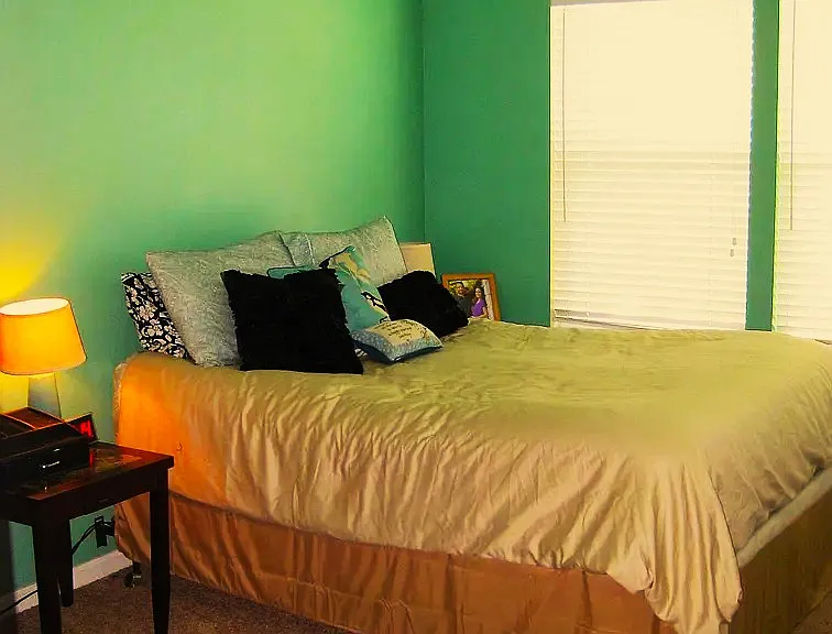 6524 Arching Branch Cir — Photo 6