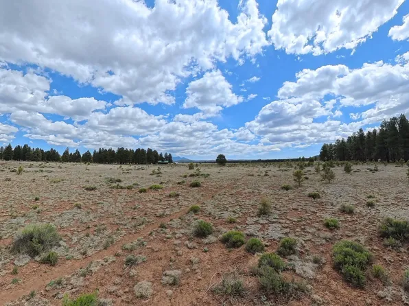 12565 CAMP KIMBALL Road #-, Parks, AZ 86018