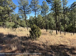 LOT 6 El Camino Dr, Alto, NM 88312