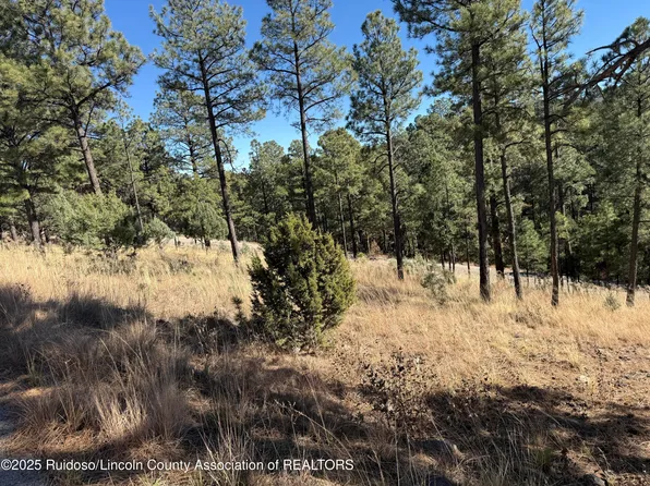 LOT 6 El Camino Dr, Alto, NM 88312